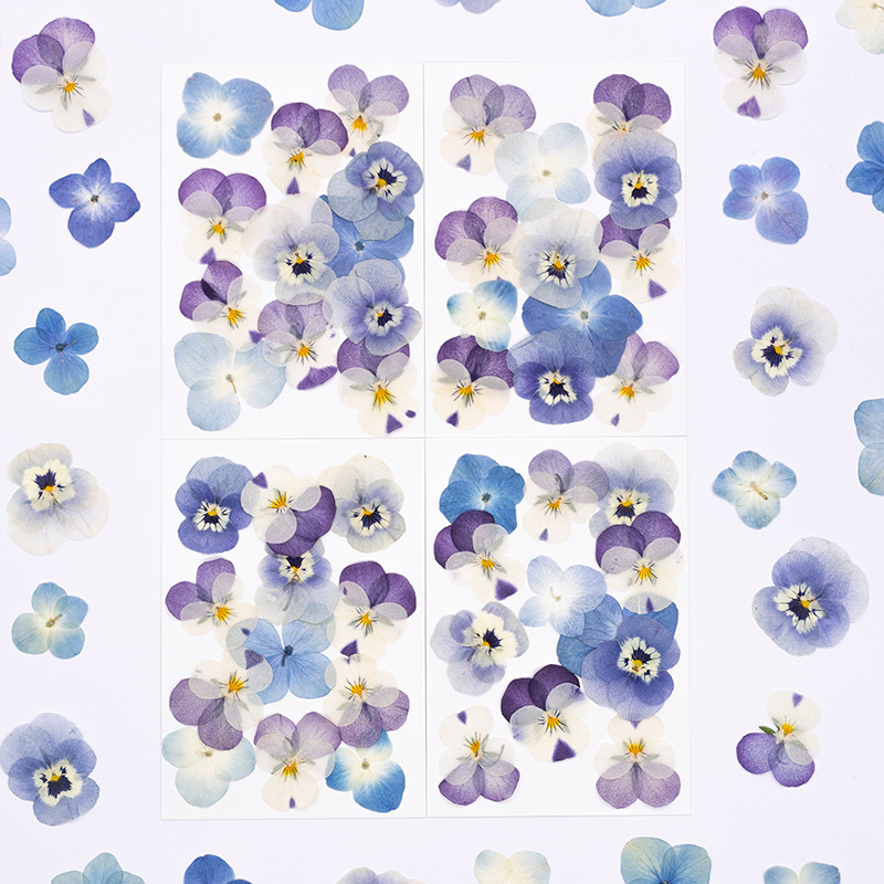 12 Piezas de Flores Secas de V - Dried Flower Bookmark reseña y precio