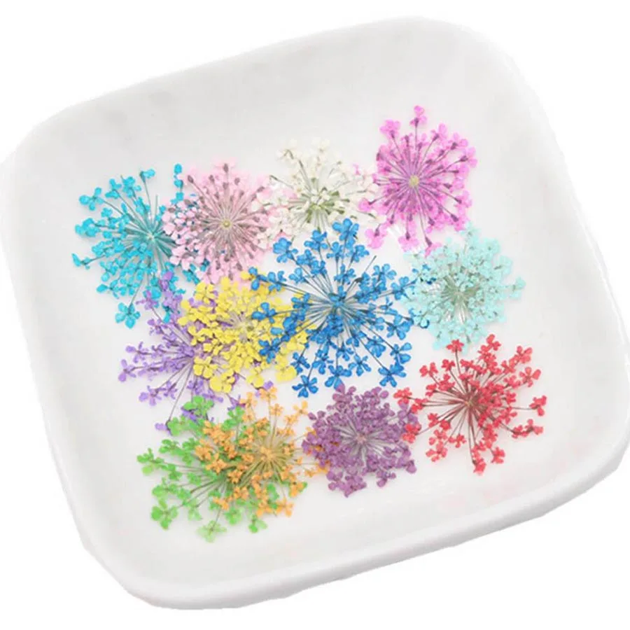 60 uds prensado seco 20-25mm A - Dried Flower Bookmark reseña y precio