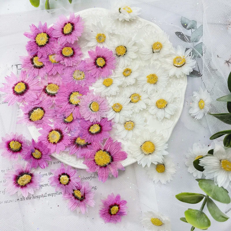 Marcapáginas de flores prensad - Dried Flower Bookmark reseña y precio