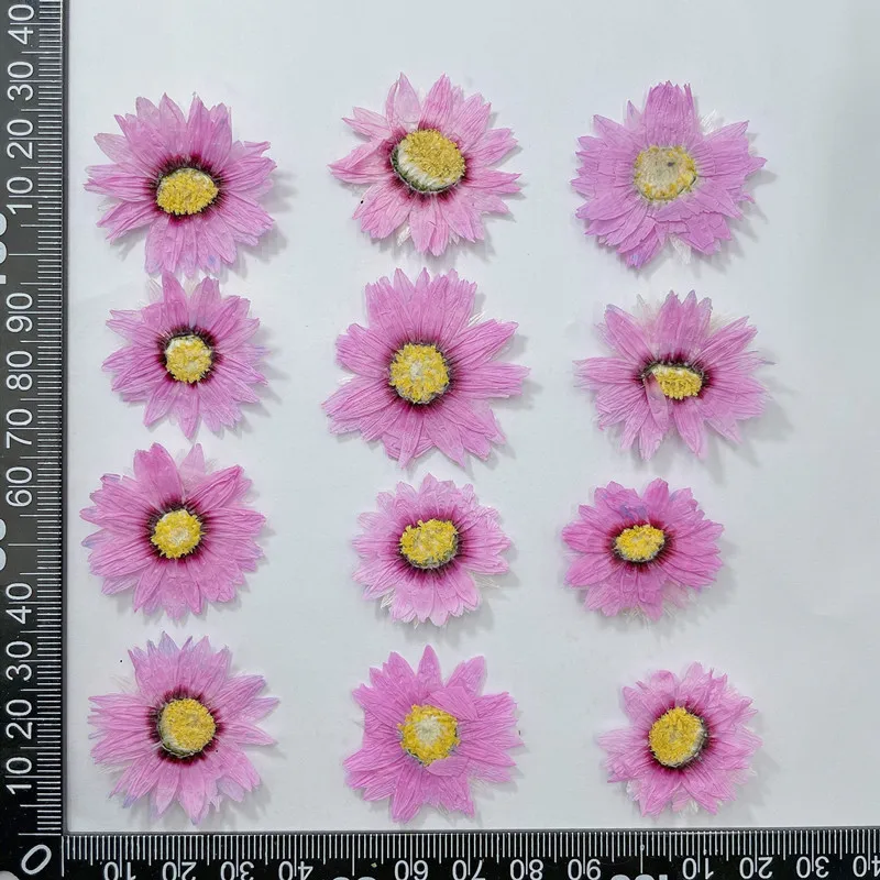 Marcapáginas de flores prensad - Dried Flower Bookmark reseña y precio